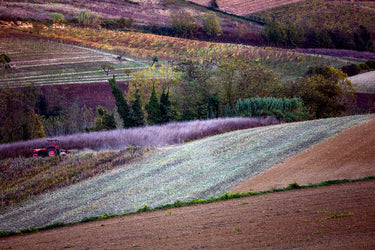 Sotto il cielo di settembre