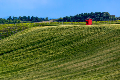 Campo verde ondulato con casotto rosso, fotografia di Anne Conway — MonferrArte