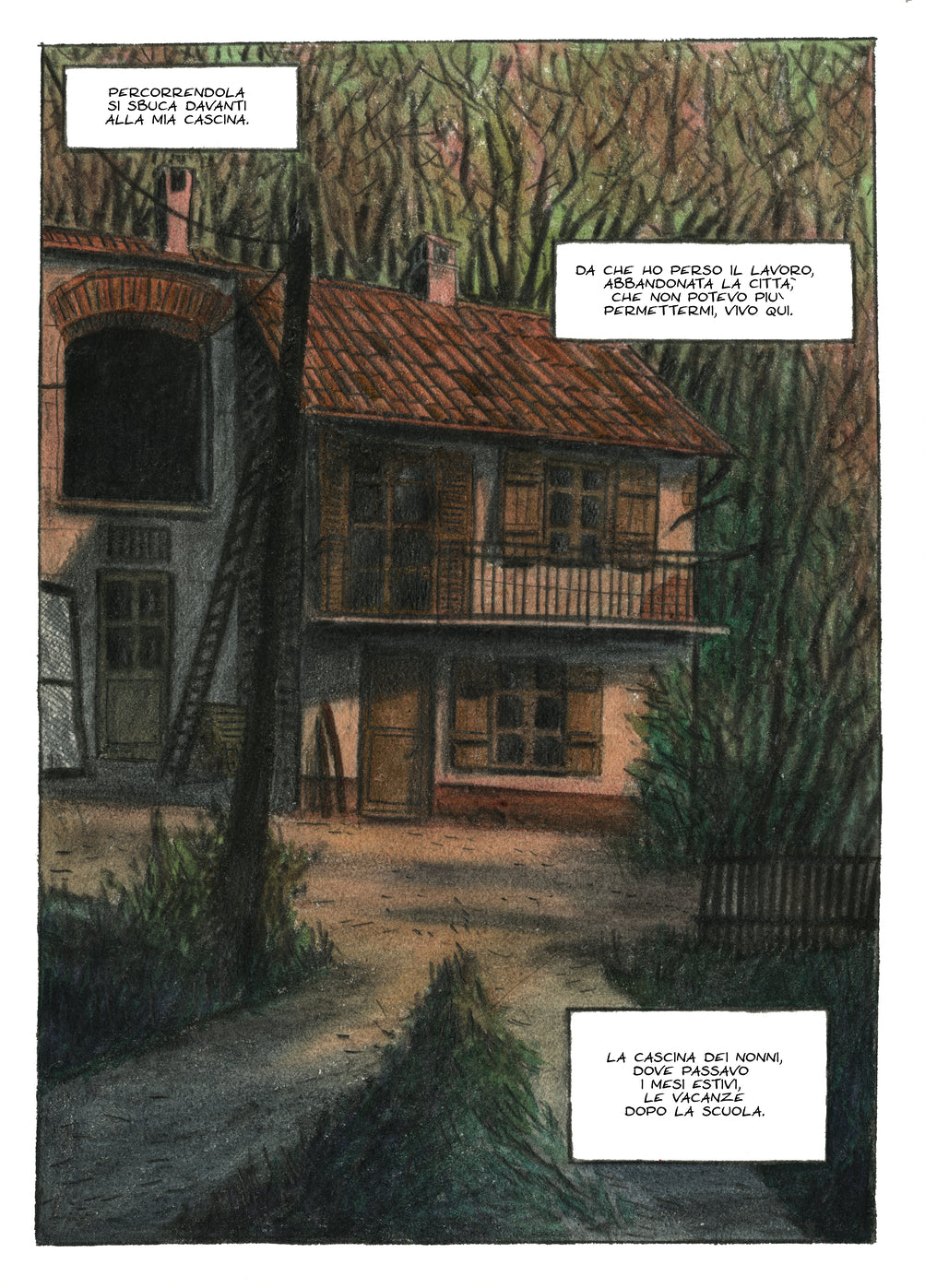 L'ultima cascina  —  Tav. 5